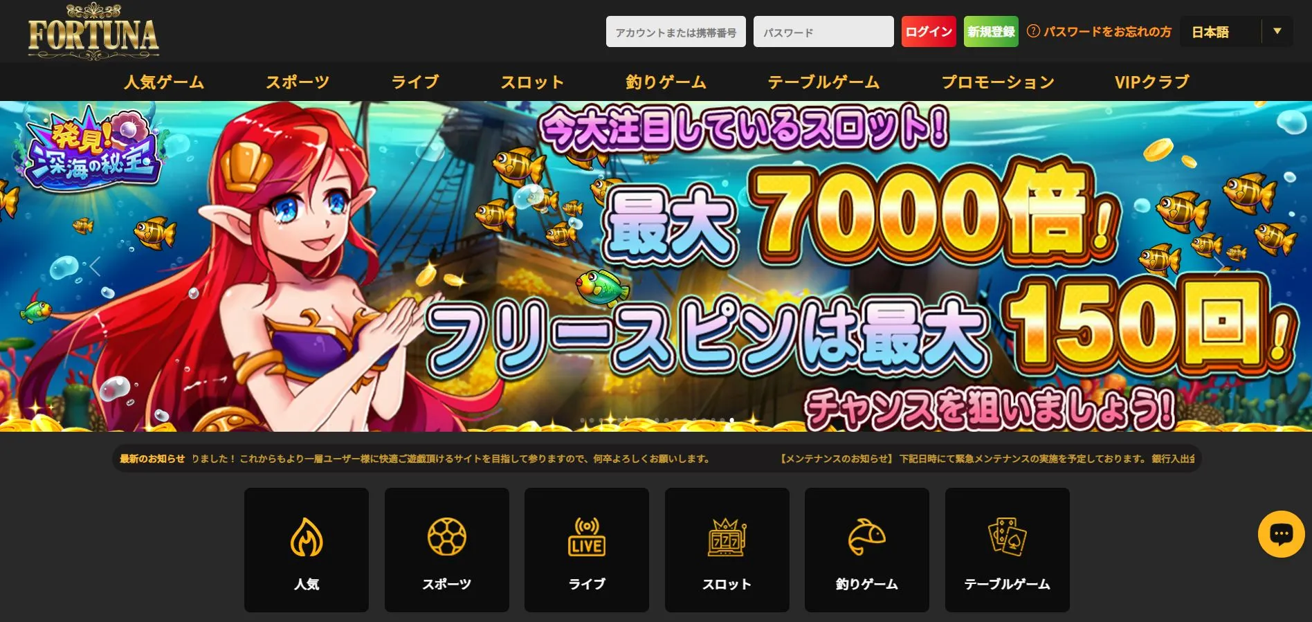 基本データ 基本データ